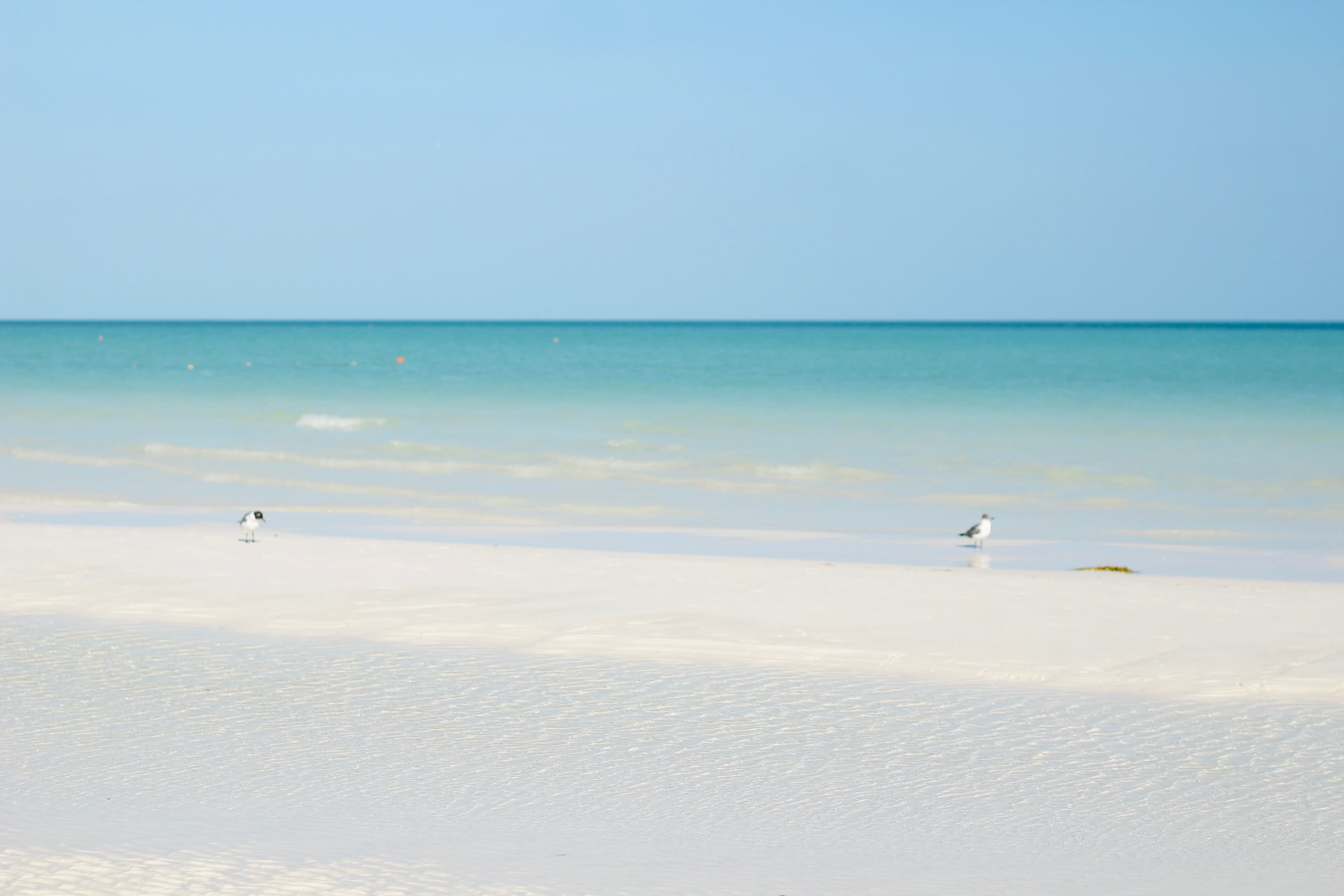 Traspaso de Hostal en Isla Holbox - Miniatura 8