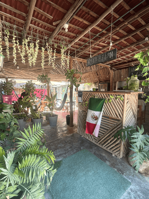 Traspaso de hostel en Isla Holbox