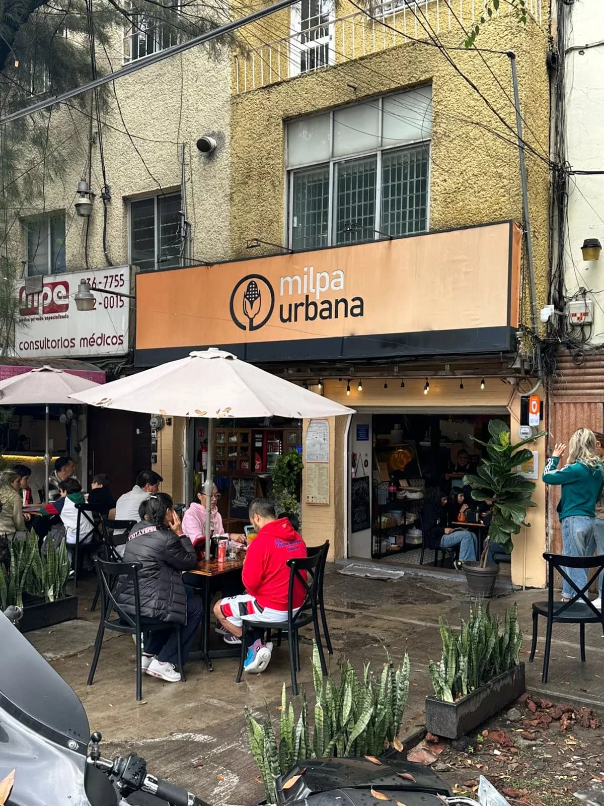 Milpa Urbana, Popular Restaurante en Narvarte